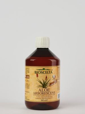 ALOE ARBORESCENS