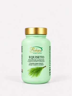 EQUISETO